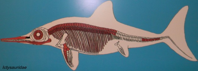 Ictysauridae